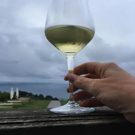 Pikua Landetxea منزل ريفي